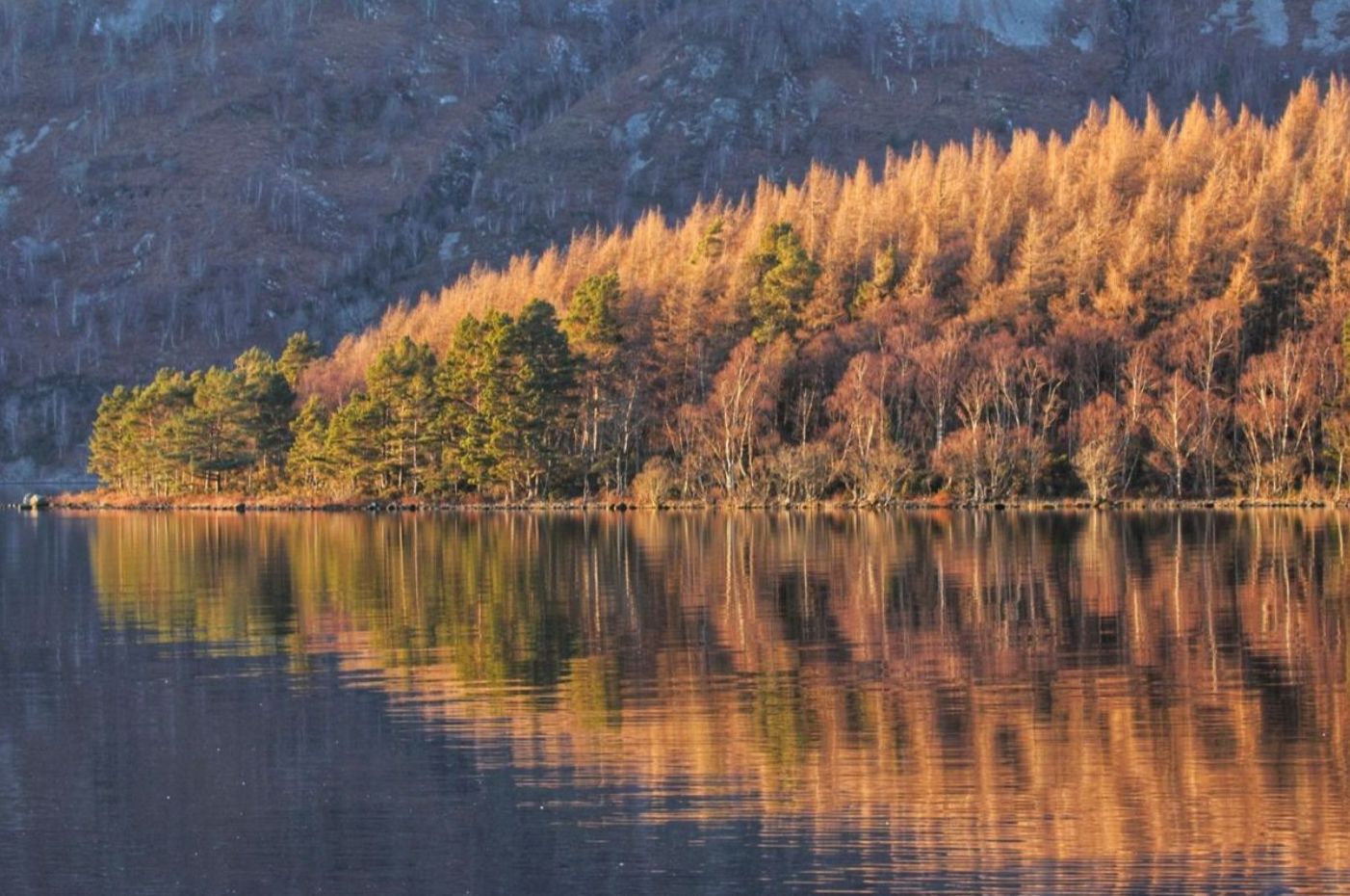 Why you should visit Loch Ness in the Autumn? 