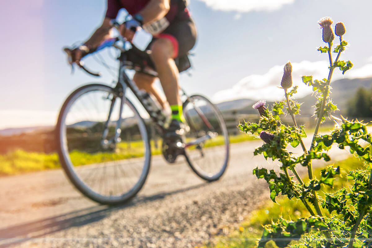 Cycling Routes Around Fort Augustus 